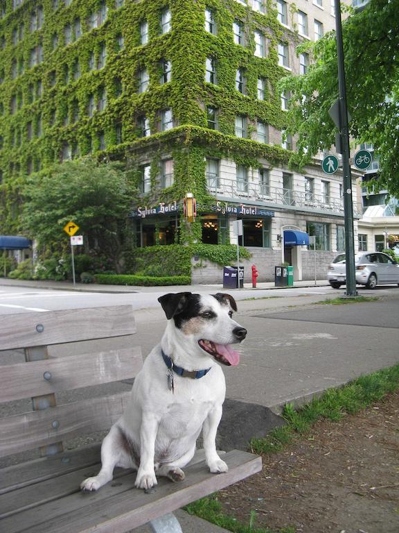 The Sylvia Hotel Vancouver Buitenkant foto